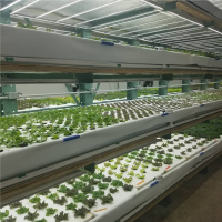 O2 Urban Farms